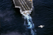 E-2 Hawkeye Landing on a US Navy Carrier - by Joe Tower